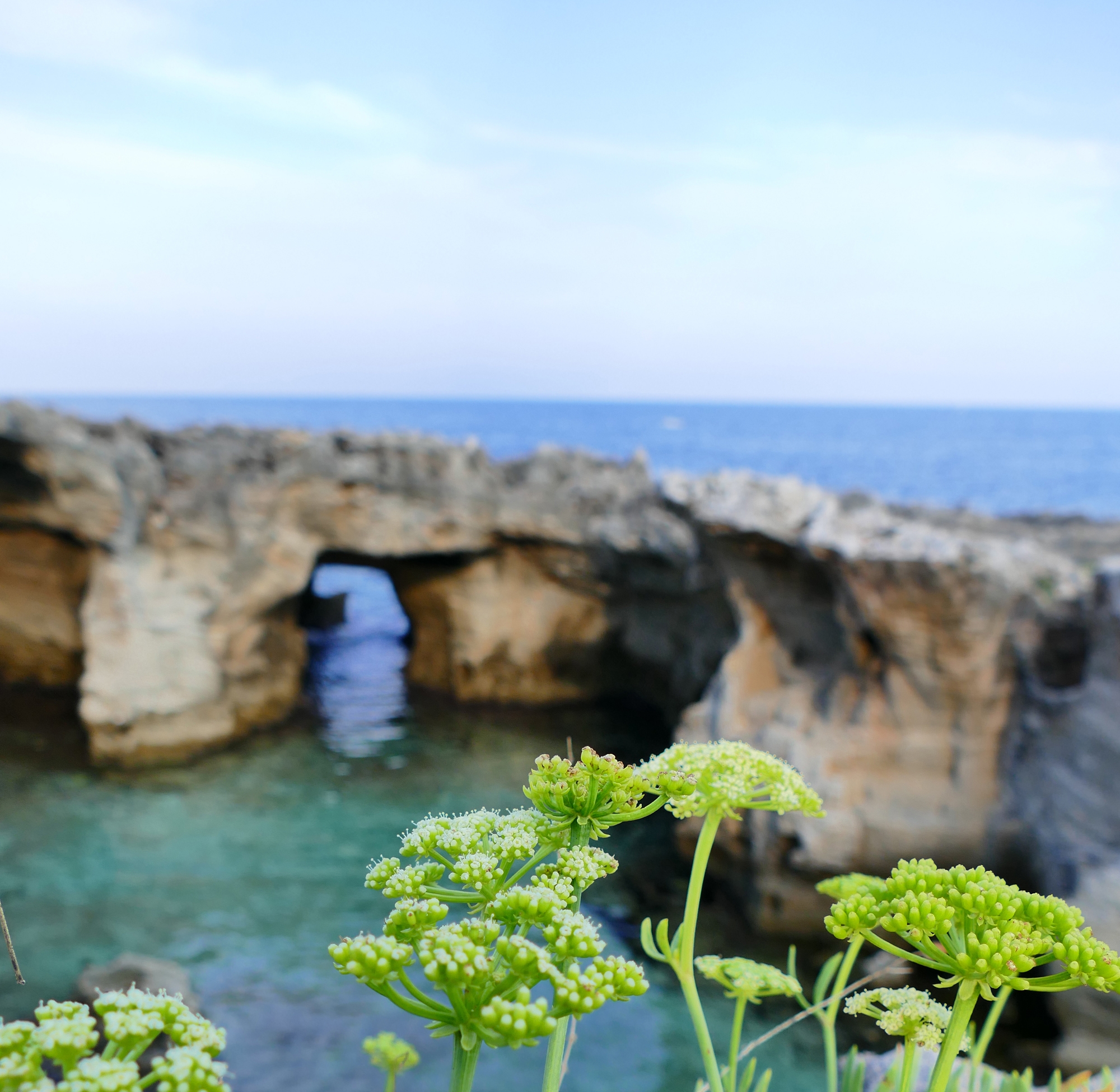 Sommer @ myPORTOCESAREO